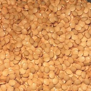 buy Adderall B974 Oval​ in usa